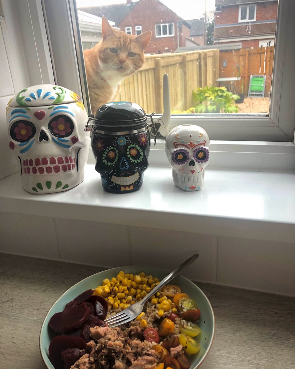 FREofAlbiomb3t's tweet photo. Can’t have anything to yourself, in my house #CatsOfTwitter #greedycat #CatsOnTwitter #catoftheday https://t.co/kj1ripS1Pe