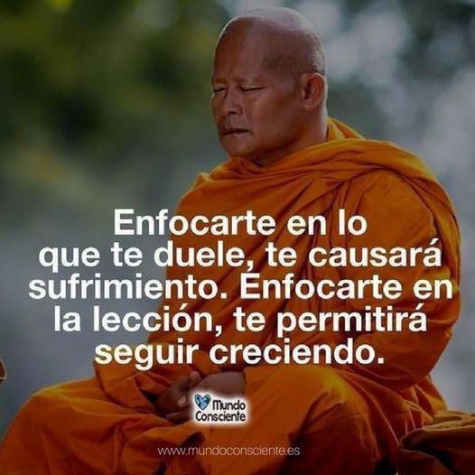 VicenteLaparra's tweet photo. Enfocarte... https://t.co/GdxcNVOitC