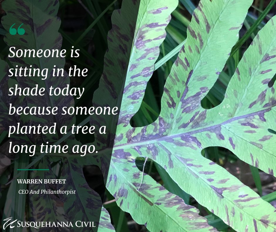 Happy International Plant Appreciation Day!