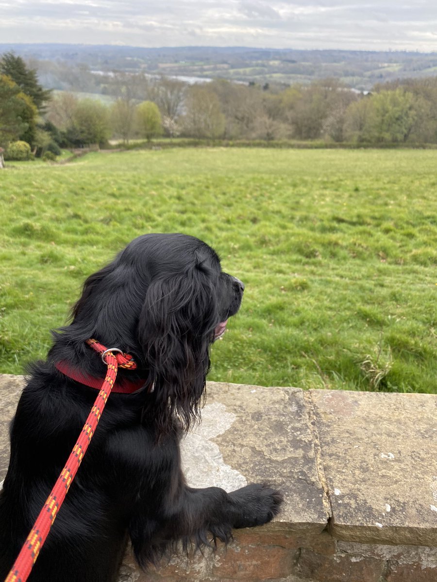SarahEverson3's tweet photo. Enjoying the view #Standen https://t.co/U9AzAtJey1