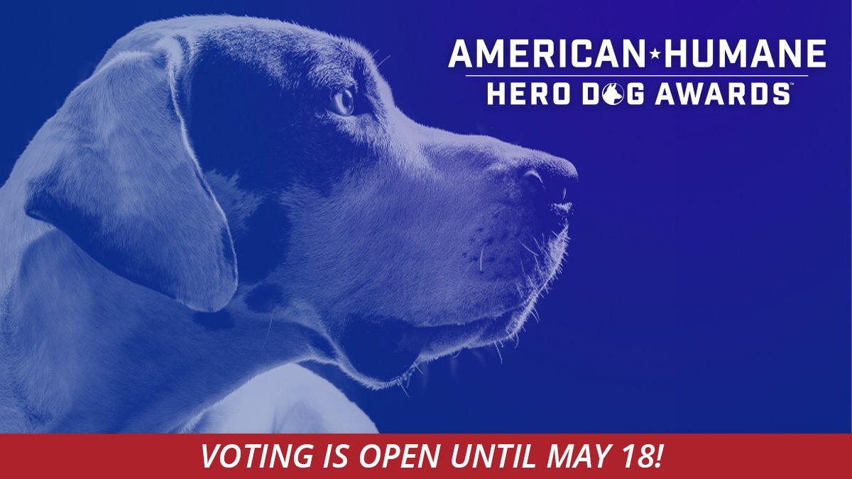 Hero Dog Awards (HeroDogAwards) / Twitter
