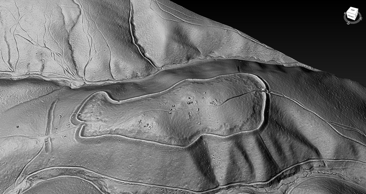 Jošt Hobič tweet media