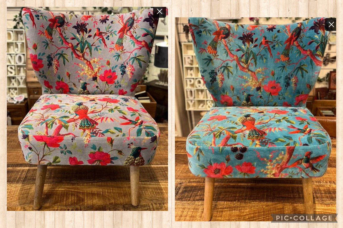 Four reasons why we love our chairs: 1. Stunning cotton velvet fabric 2. Solid wooden frame for durability 3. Extra wide back for better back support 4. Fairtrade from India 😀 #dorsethour