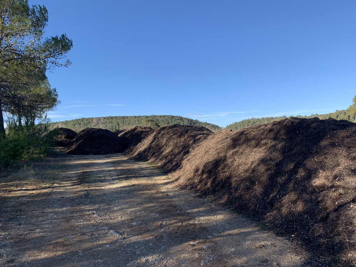 JMCambaceres's tweet photo. Grands travaux au #GFAviticoleMasMathieu: arrachage de 4ha de  #cabernet, brûlage des souches, défonçage, concassage des pierres, épandage du compost, goutte à goutte, pose des piquets et fil de fer, replantation en cinsault. Tout en #bio et passage en appellation #Languedoc. https://t.co/qV1eJeJAfa