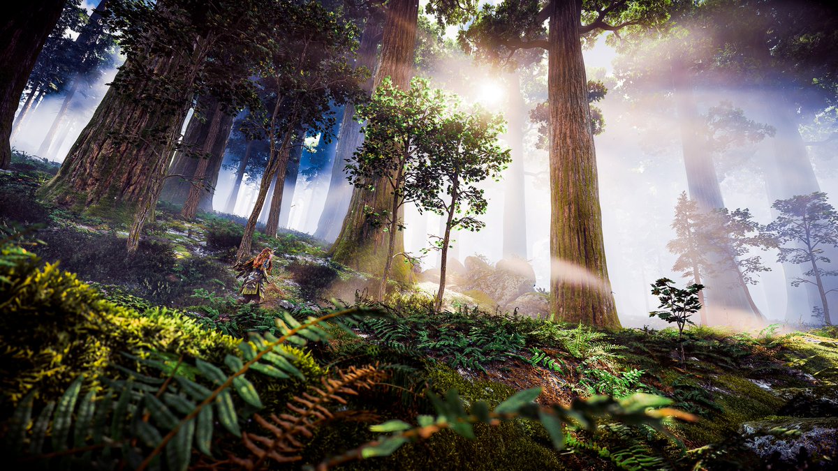 gamephotoweck's tweet photo. Trees as High as Towers... #wvplandscape
#HorizonForbiddenWest #VirtualPhotography #PS5 #PhotoMode #WorldofVP #TheCapturedCollective #GamerGram #ThePhotoMode #ZarnGaming #PS5Share #VGPUnite #VPEclipse #ArtisticofSociety #psaphotomode #VPRT #CollectVP #STWVP @Guerrilla https://t.co/sxkOvWuTOz