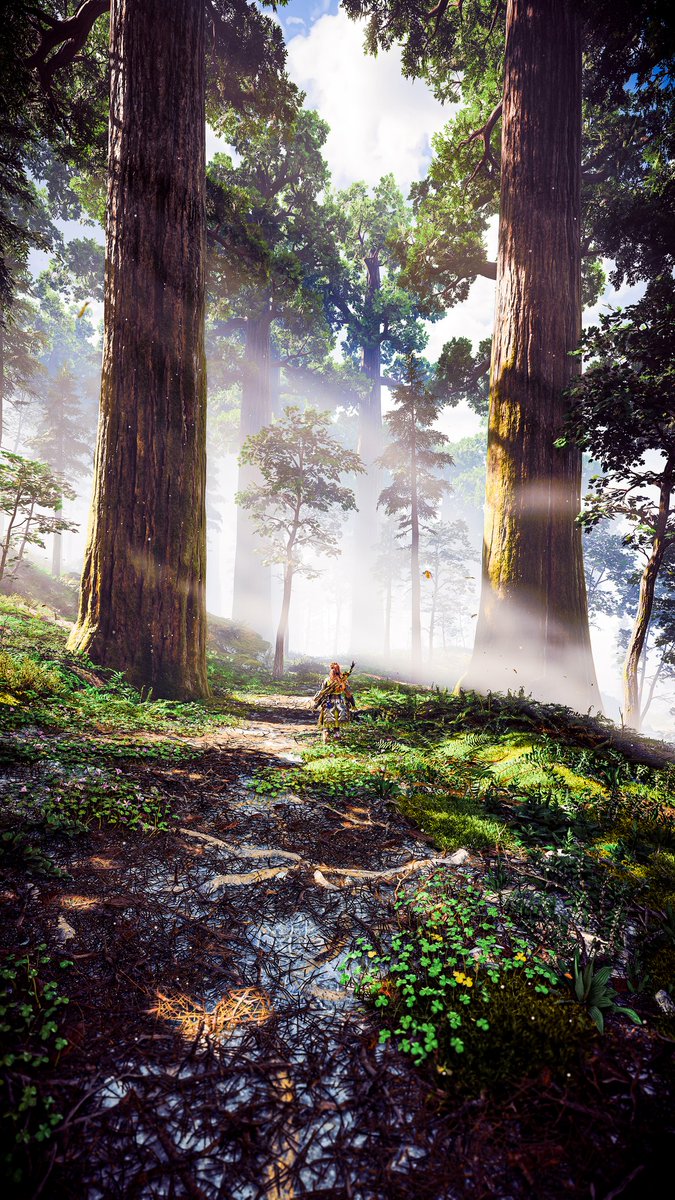 gamephotoweck's tweet photo. Trees as High as Towers... #wvplandscape
#HorizonForbiddenWest #VirtualPhotography #PS5 #PhotoMode #WorldofVP #TheCapturedCollective #GamerGram #ThePhotoMode #ZarnGaming #PS5Share #VGPUnite #VPEclipse #ArtisticofSociety #psaphotomode #VPRT #CollectVP #STWVP @Guerrilla https://t.co/sxkOvWuTOz