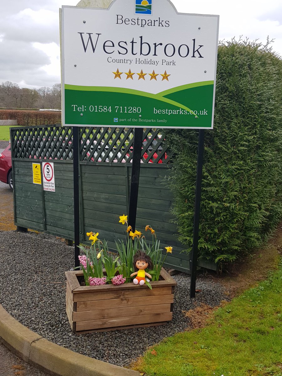harrison_dreams's tweet photo. Day 4 in Dora and we have been to an owl sanctuary today. Lots of other lovely animals too, with lunch sitting out watching the donkeys and pygmy goats. Fabulous day ๐ #doraexplorer #caravanlife #edutwitter #WednesdayVibe https://t.co/ujeuyjew0o