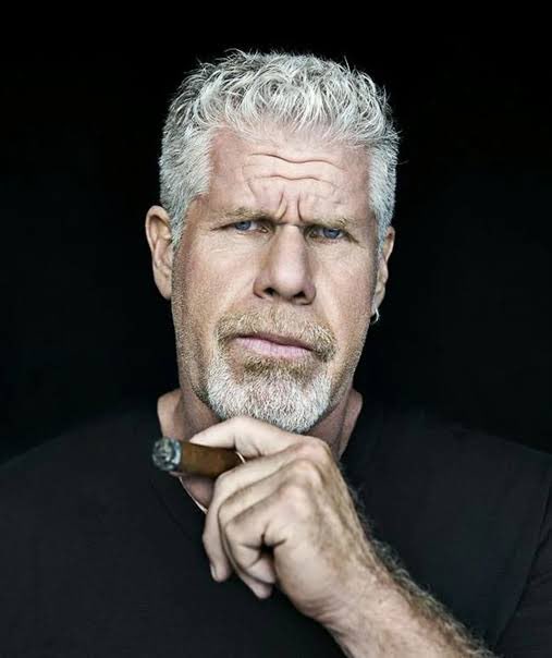 Happy birthday Ron Perlman. My favorite film with Perlman so far is Der name der rose. 