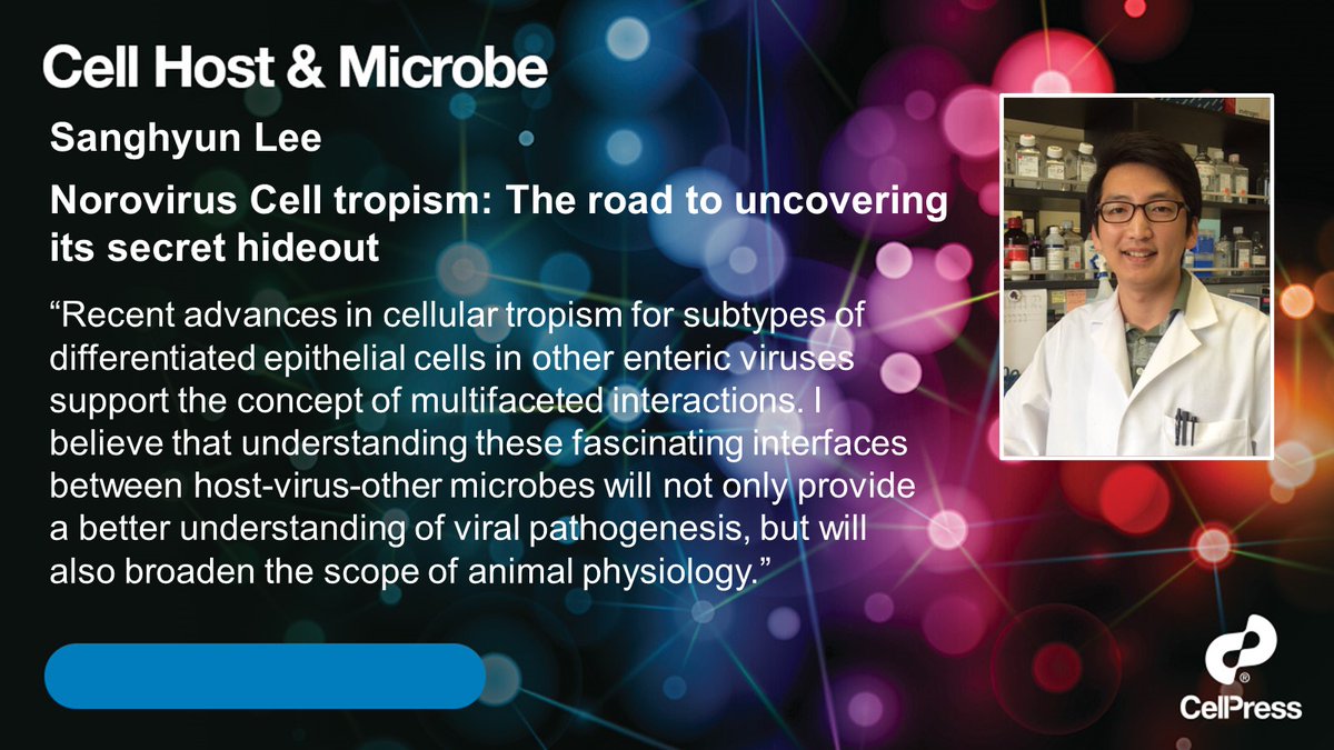 Cell Host & Microbe (@cellhostmicrobe) on Twitter photo Norovirus cell tropism: The road to uncovering its secret hideout
<a href="/SanghyunLeeLab/">Sanghyun Lee</a>
cell.com/cell-host-micr… Norovirus cell tropism: The road to uncovering its secret hideout
<a href="/SanghyunLeeLab/">Sanghyun Lee</a>
cell.com/cell-host-micr…