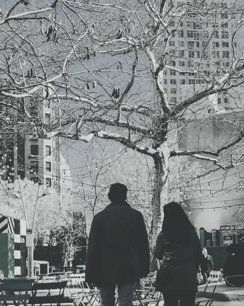 Winter's tree.
-
-
#newyorkcity #streets #streetphotography #thestreetphotographyhub #couples #walking #newyorkstreets #brooklyn #canonphotography #photooftheday instagr.am/p/CcTGmS7rnTq/