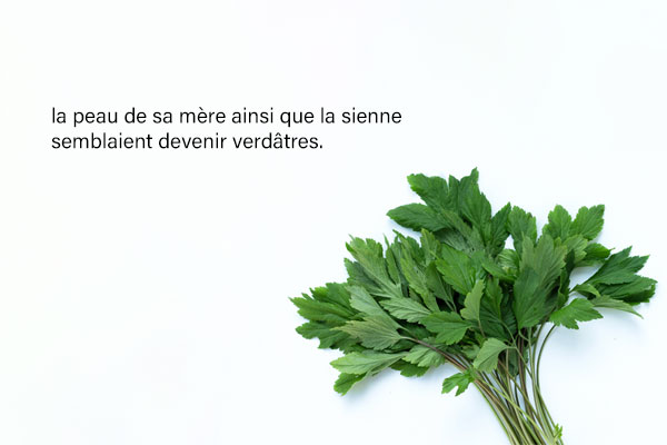 frenchkbs's tweet photo. [LETTRES COREENNES] #histoire #narration #plantes #armoise  
« L’histoire de l’armoise » de Choi Il-nam
📣 Lire et écouter sur https://t.co/Y8fuR2kADJ https://t.co/loDsJNa8Z9