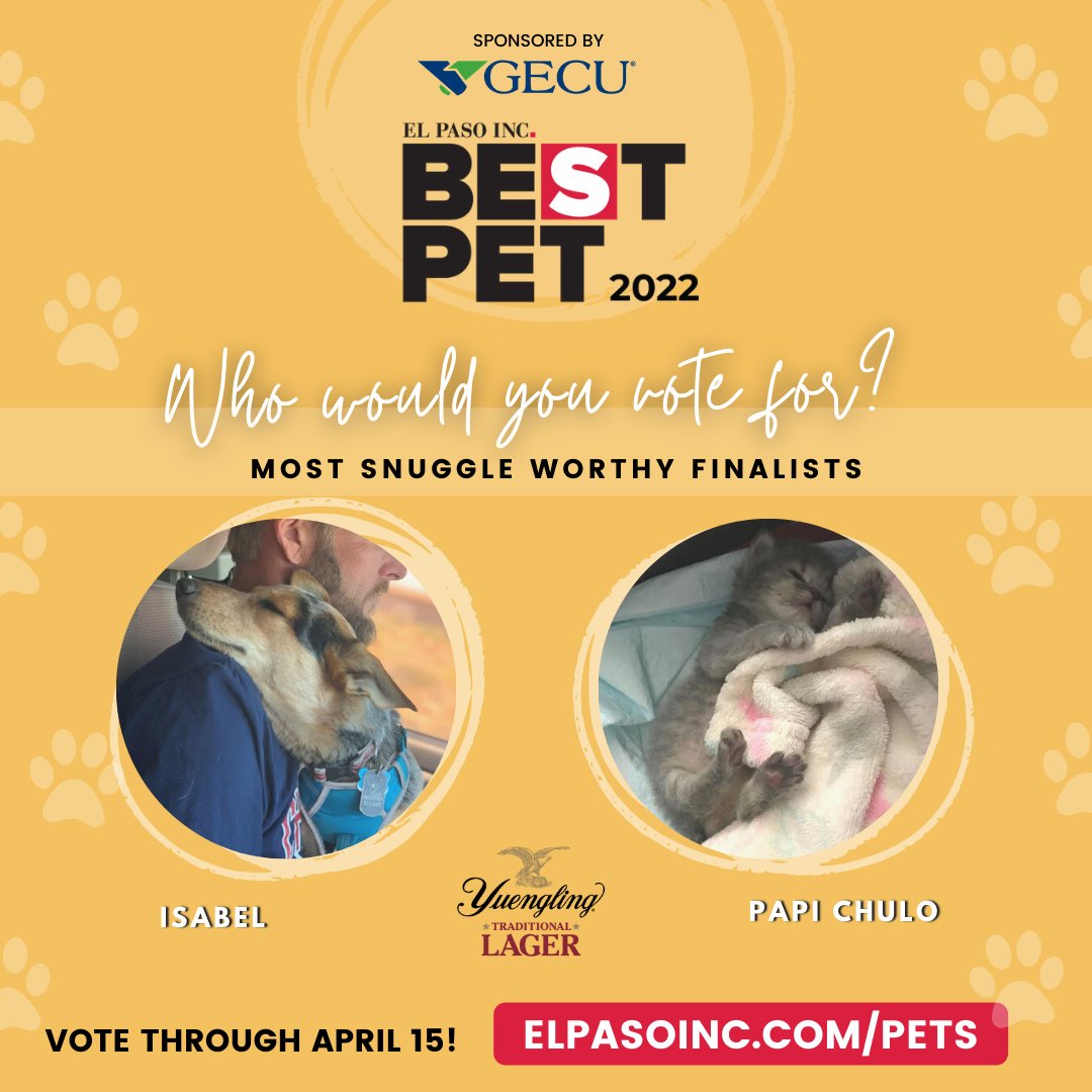 ElPasoInc's tweet photo. Which pet do you think is purrfect for cuddles? 🤗

Support your top choice for Most Snuggle Worthy with a vote today. #BestPet #EPIncBestPet

https://t.co/jPcIPDzHQS https://t.co/59oNkZtmSZ