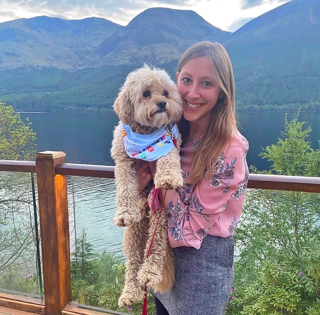 blacksheephotel's tweet photo. Double tap if cavapoo pups make your day too 🐶❤️ 

Because they certainly make ours! 

Picture Credit - @the_adventures_of_wolfiebear

#cavapoo #puppy #puppylove #dog #cavapoopuppy #dogs #puppylife #cavapoolove #puppies #dogoftheday #cute #doglife #cavapoodaily #cavapoos #love https://t.co/EssKFGJZPz