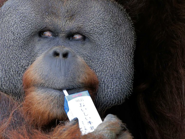 OnlyTrashTV tweet media