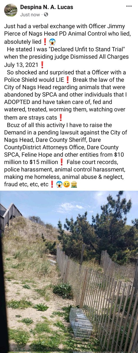 n_despina's tweet image. #RatInfested #Community #NagsHeadNC #PamlicoCountyNC #DefendantAlso #EtcEtcEtc