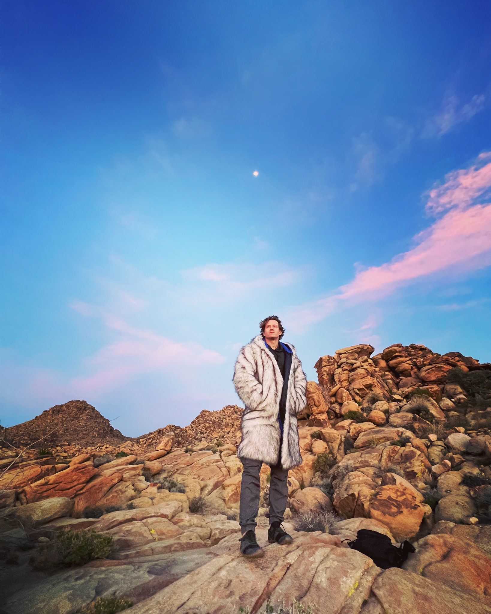 Shawn Alff on Twitter: "Who is coming next time? #joshuatree https://t.co/rKaWkIo61A" / Twitter