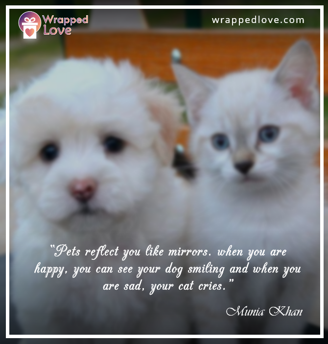 WrappedLove1 tweet picture