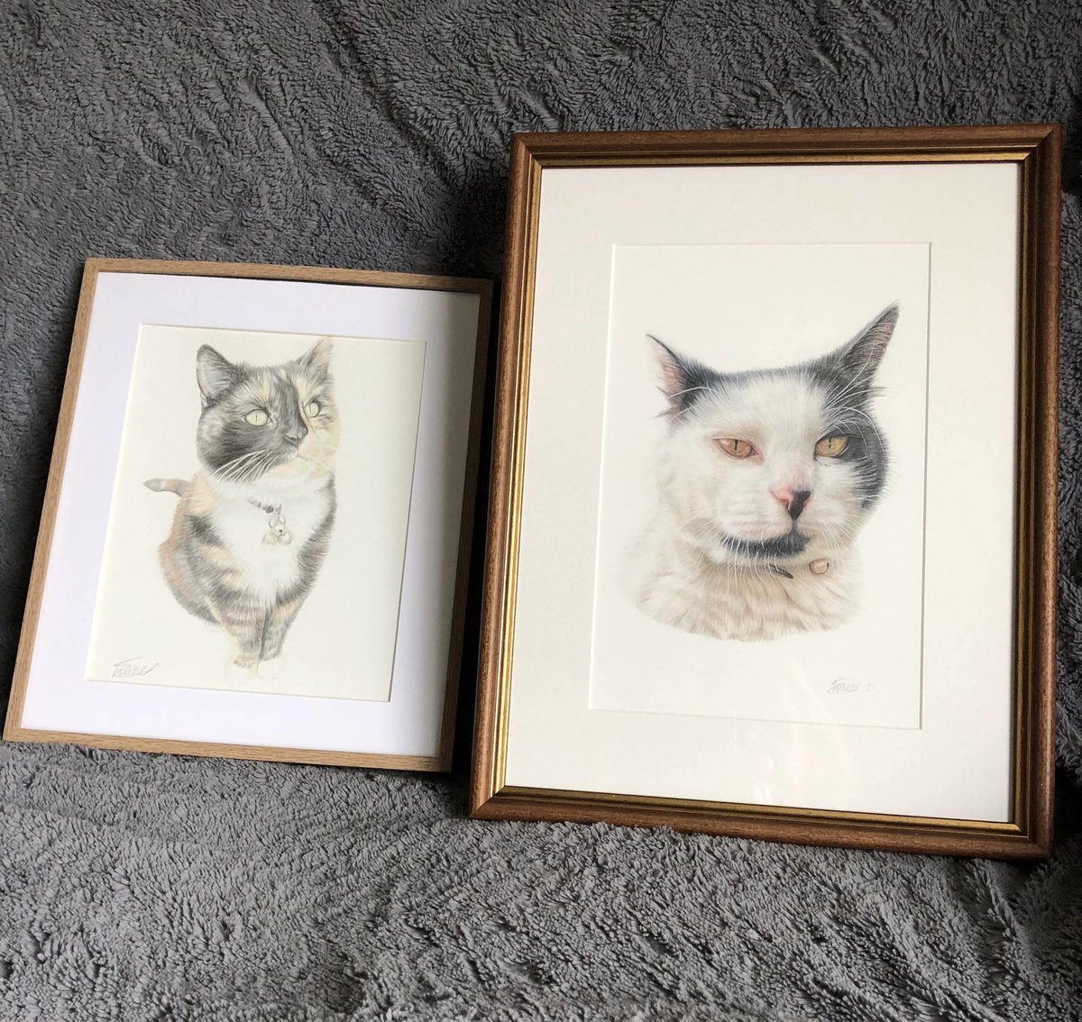 ems_pawtraits's tweet photo. Frames really make all the difference!

I love seeing how my clients choose to frame their portraits, I do feel it can be such a personal decision. But both of these frames really finish and draw attention to the portraits in such a classic and beautiful way!🤍
#CatsOfTwitter https://t.co/ScMVNr4cCq