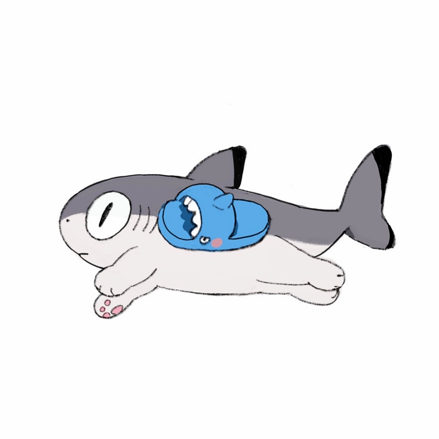 котик в костюме акулы рисунок. кот в костюме акулы. милые котики в костюме акулы. котакула. котакула.
