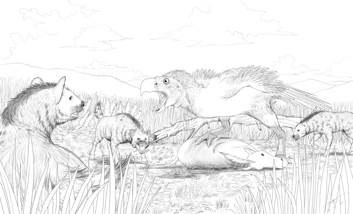 JuliusArt26's tweet photo. Titanis walleri on guard.
A small group of Chasmaporthetes ossifragus haunts this Titanis while it claims the corpse of a Nannippus peninsularis.

#paleo #paleoarte #digitalart #paleontology #paleontologia #pleistocene #mamals #megabeast #titanis #terrorbird https://t.co/Q5EZvmDCvh