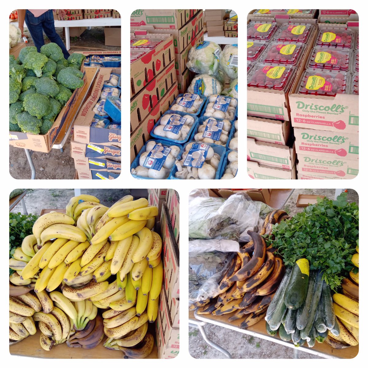 KeithBe27246508's tweet photo. Carmichael Farmer's market starts at 2:00 pm whiles Supplies last. https://t.co/SHGtaKfopC