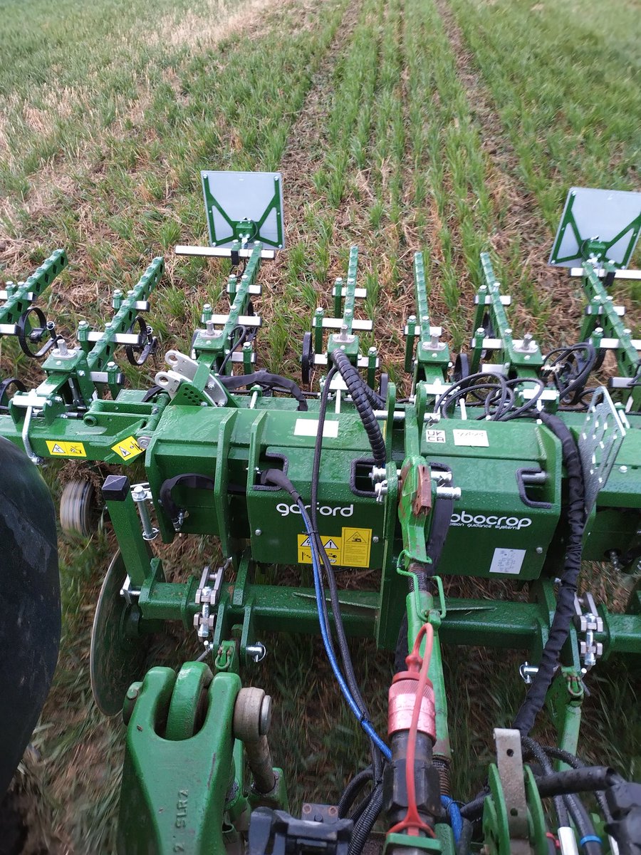 NeddyFlanders11's tweet image. Can&apos;t decide if I&apos;m killing or saving this crop. Would love to speak to other #robocrop users. #steeplearning