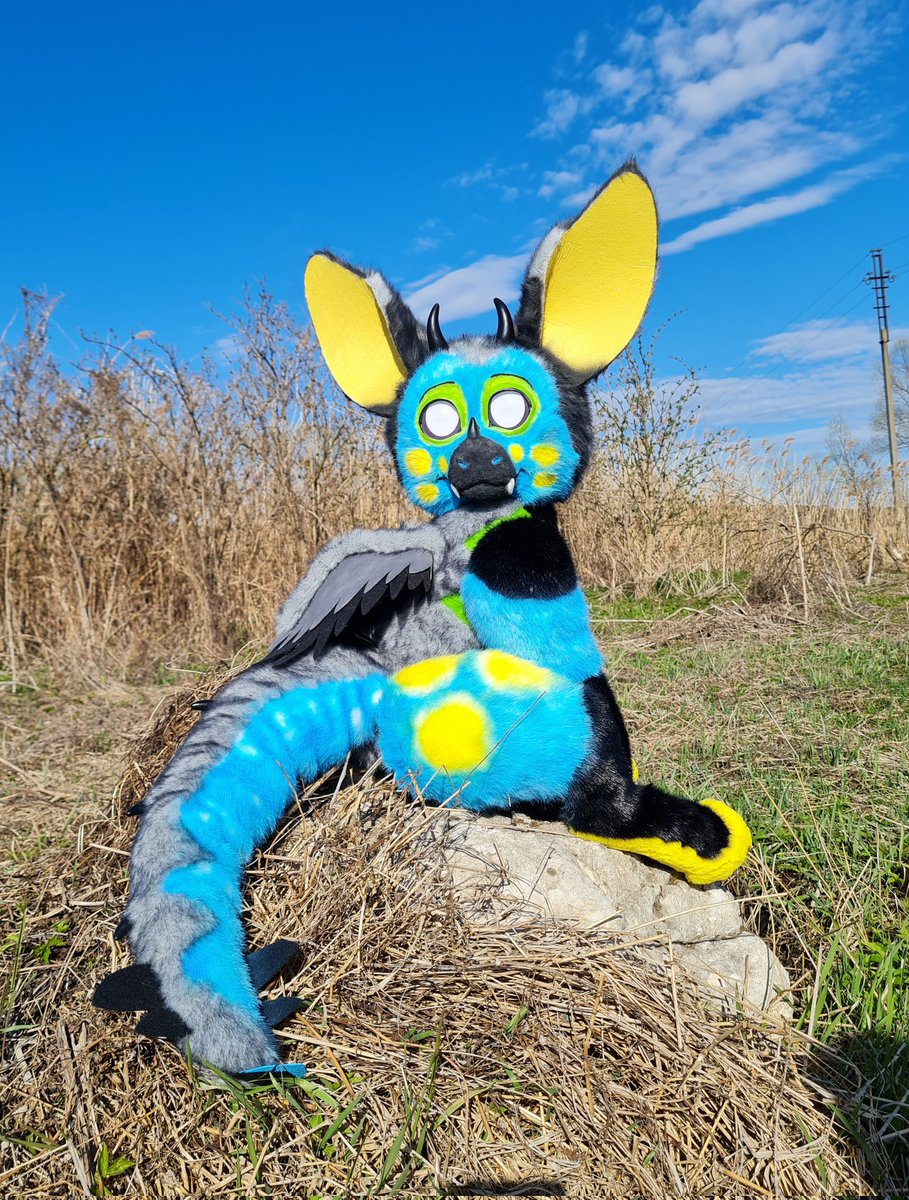 Sigida_plushies's tweet photo. Commissions are open!
Finished commission.
size 110 centimeters.
I really enjoyed working on this dragon.π»
#artdoll #poseableart #dragon #fursona #furry https://t.co/AeztHEfeez