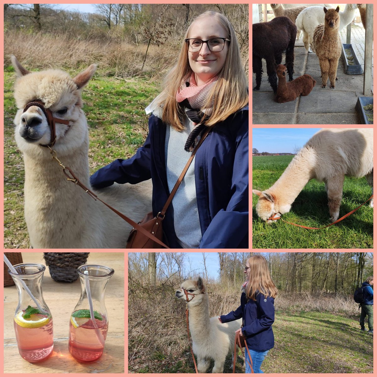 Am Montag haben wir einen schönen Nachmittag bei Abolengo de Alpaca verbracht 😊🦙