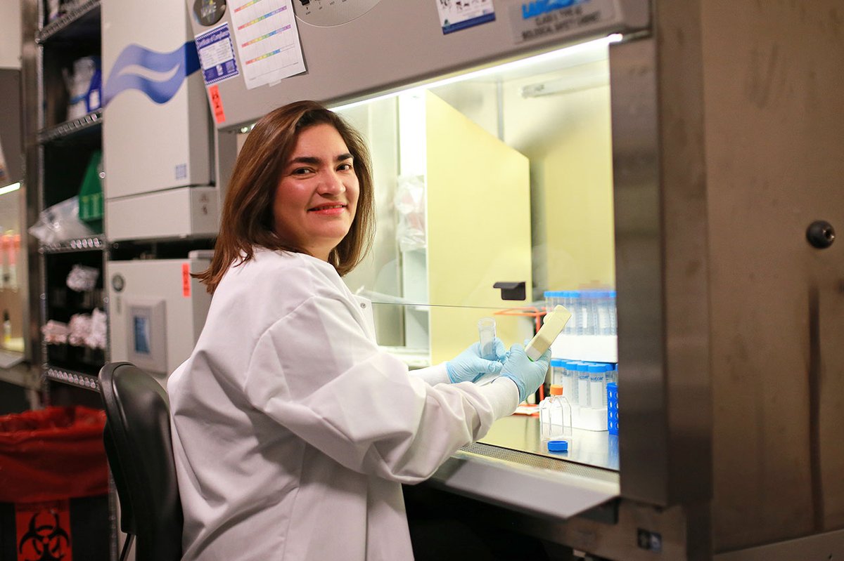 Cell Therapy News (@celltherapynews) on Twitter photo ✨ New today in <a href="/Nature/">nature</a>!
Dr. <a href="/MarcelaMaus/">Dr Marcela Maus</a> at <a href="/harvardmed/">Harvard Medical School</a> and colleagues demonstrated that liquid 💧 and solid 🧊 tumors differ in their interactions with #CAR T cells, particularly in regards to the IFNγR pathway.
go.nature.com/3xr4bfz ✨ New today in <a href="/Nature/">nature</a>!
Dr. <a href="/MarcelaMaus/">Dr Marcela Maus</a> at <a href="/harvardmed/">Harvard Medical School</a> and colleagues demonstrated that liquid 💧 and solid 🧊 tumors differ in their interactions with #CAR T cells, particularly in regards to the IFNγR pathway.
go.nature.com/3xr4bfz