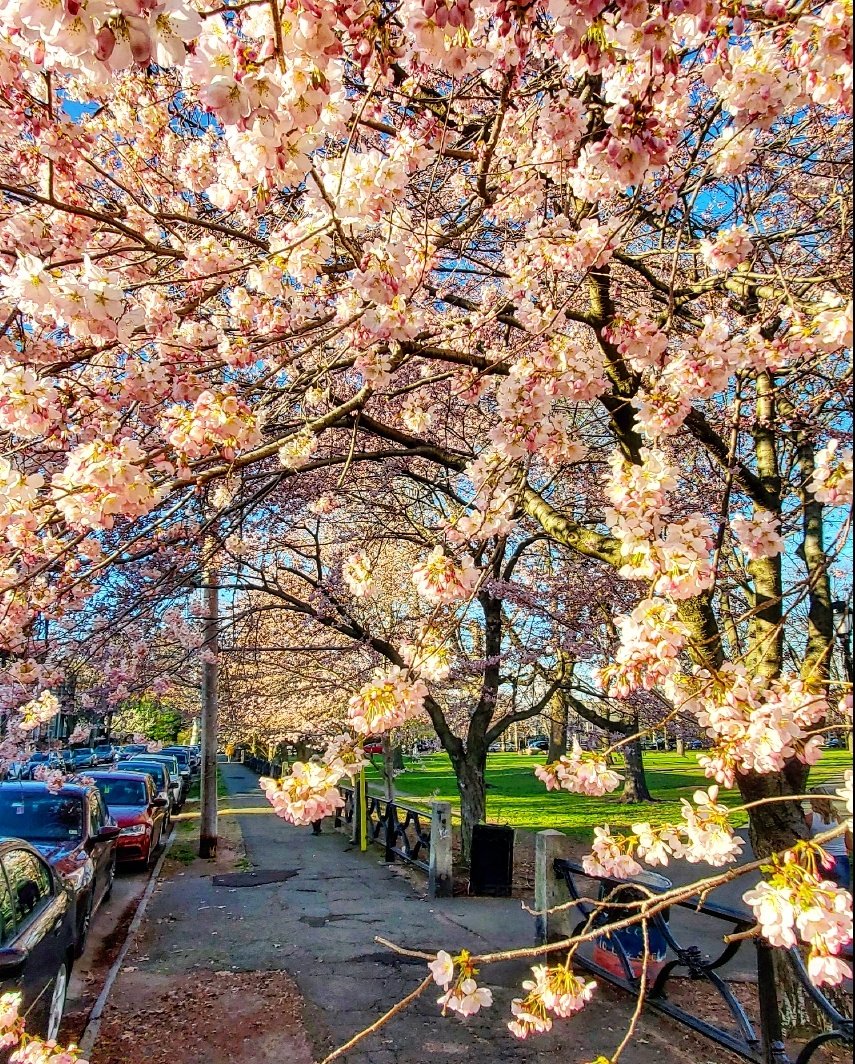 DFA New Haven tweet media