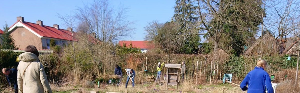 Ik buurt mee - Een nieuwe lente voor Buurttuin Zwarteweg dlvr.it/SNWglf
