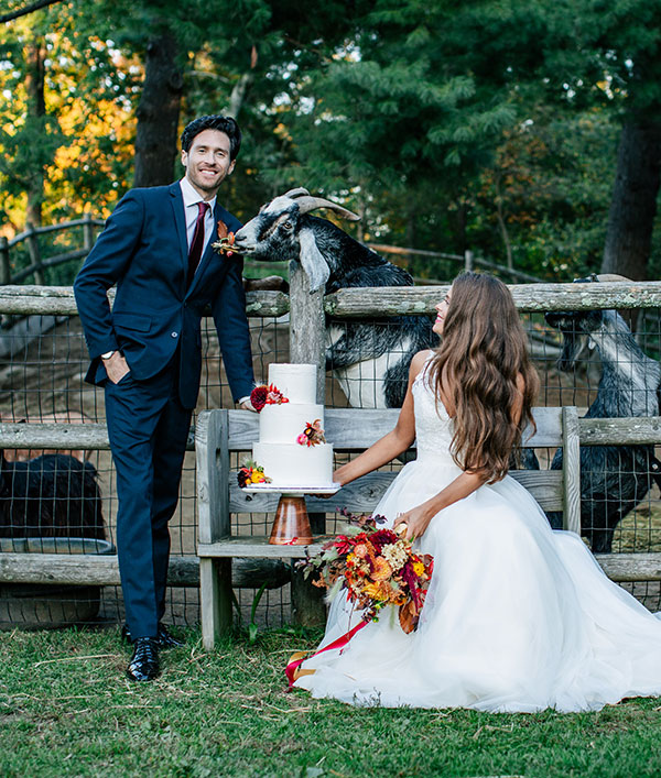 The Kind Bride tweet media