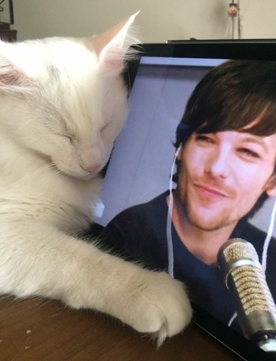 #LouisTomlinsonEnLOS40  
 Gracias a louis soy más como yo quiero ser, el siempre me da seguridad y confianza en mi misma. Conocerlo, conocer su música realmente me salvó, por eso me encantaría poder verlo y escucharlo en vivo. Cumplanme el sueño de mi vida porfa <a href="/Los40ar/">LOS40 Argentina</a>