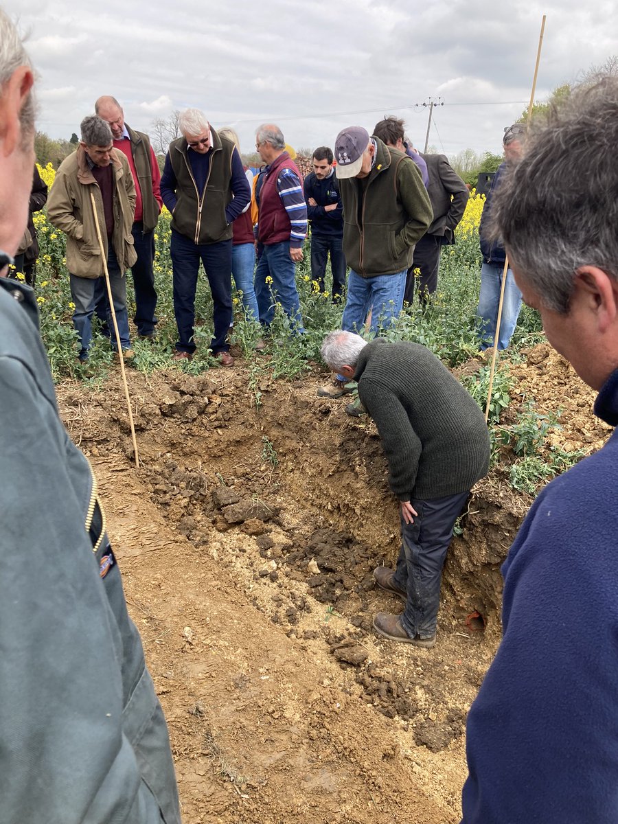 Jodihenry22's tweet photo. Great day looking at soil structure with our agronomy group &amp; speaker Philip Wright…fantastic wealth of knowledge… many things in our soils to assess and improve on for the future!#resilientsoil #soilstructure #soilhealth #independentagronomy #AICC #farming #wrightresolutions https://t.co/JIy9AJWPhL