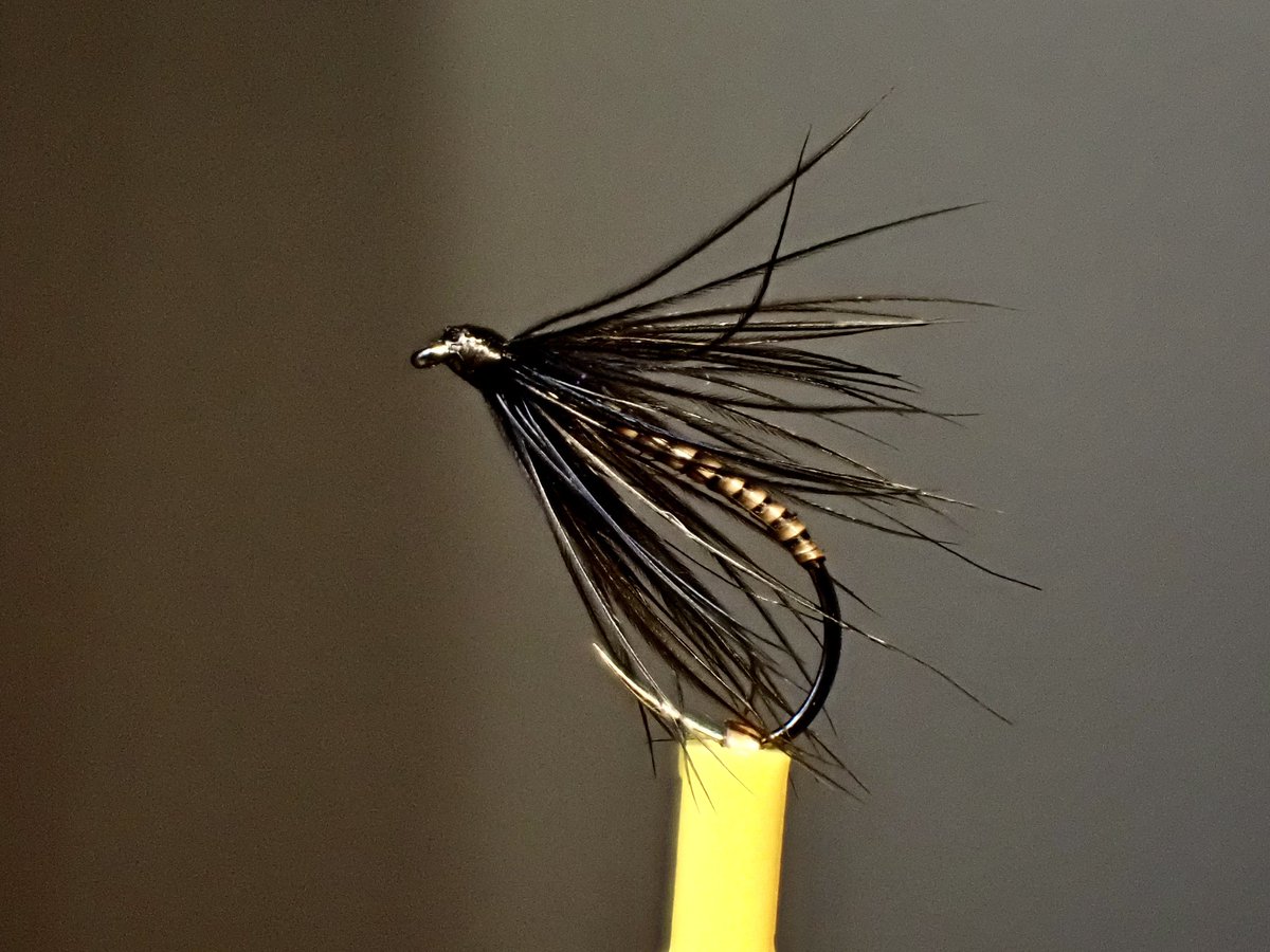 ScottieFlyTying's tweet photo. A nice little quill body wet fly tied on a #12 Grip 11011BL using our hen pheasant neck cape hackle as an alternative to a genetic hen cape, offering a nice length soft hackle... #flytying #flyfishing #chevronhackles https://t.co/n84zYTZwe3