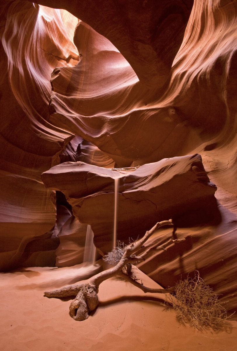 EarthAntidote's tweet photo. 📍Arizona, US https://t.co/4Eyo4HKzC4