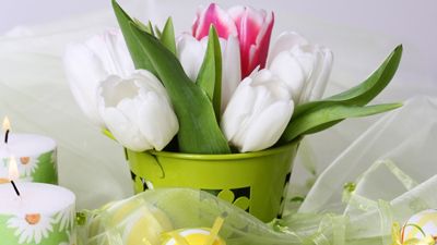 distekinc's tweet photo. In observance of Passover and the Easter Holiday, our offices will be closed on Friday, April 15, 2022.

Wishing you all a Wonderful Holiday Weekend!
From all of us at Distek
https://t.co/Y5aD2xbwDX https://t.co/dGJ4ai356E