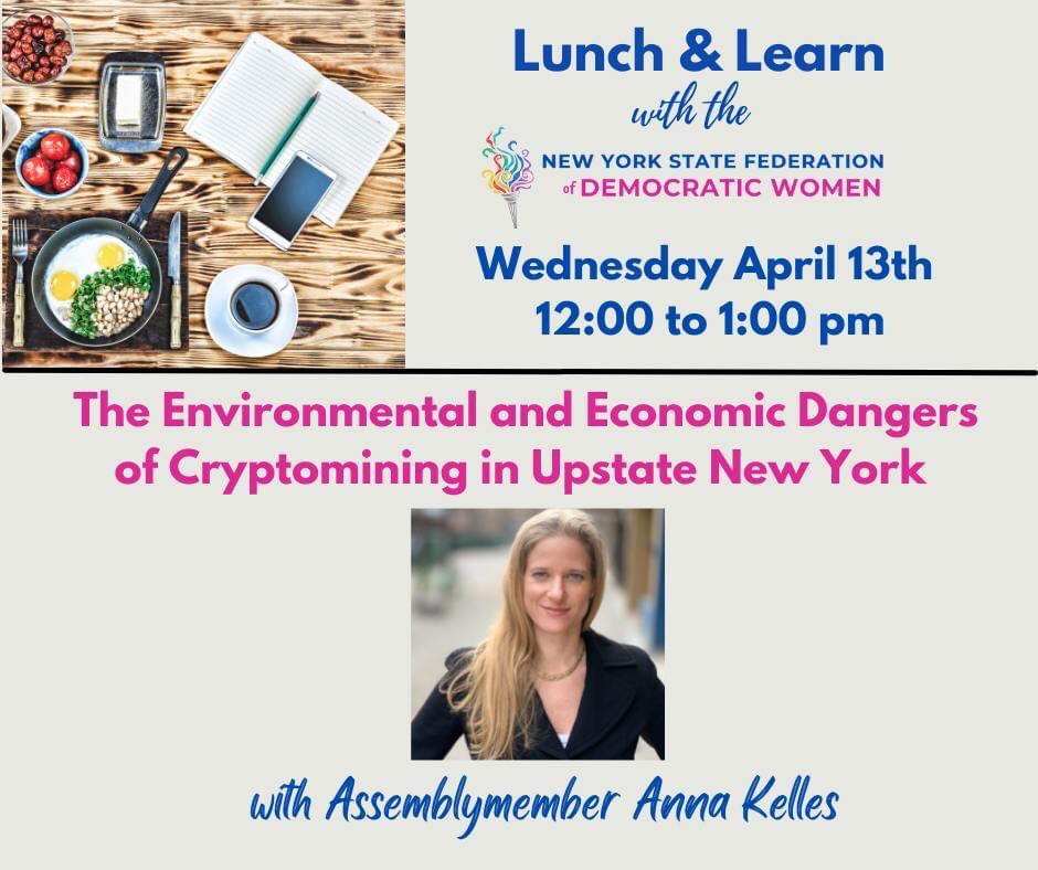 Debby_McC's tweet photo. Many thanks to Assemblywoman @annakelles for explaining the dangers of #CryptoMining to #UpstateNY’s #environment Grateful to @NYSFDW for another great Lunch and Learn. ⭐️ https://t.co/o6tft3WPEo