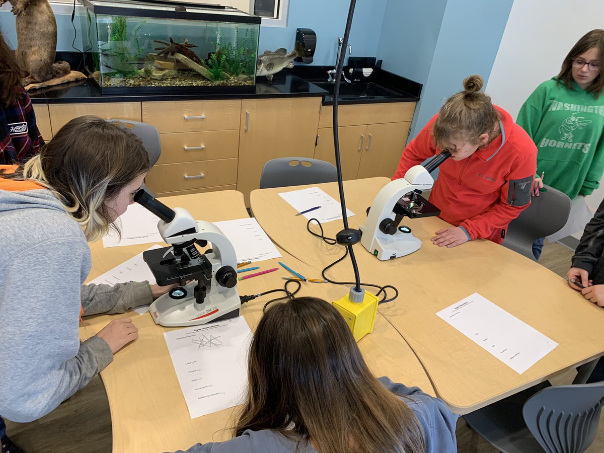 Emily Stiers tweet media