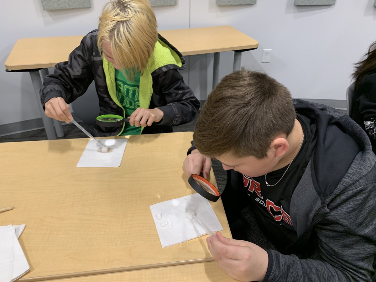 Emily Stiers tweet media