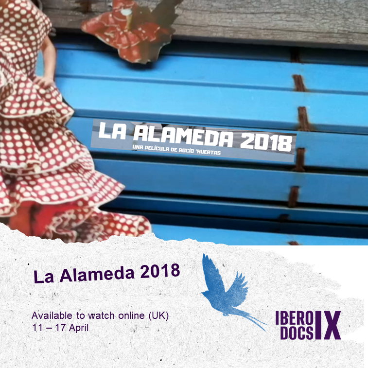 iberodocs tweet media