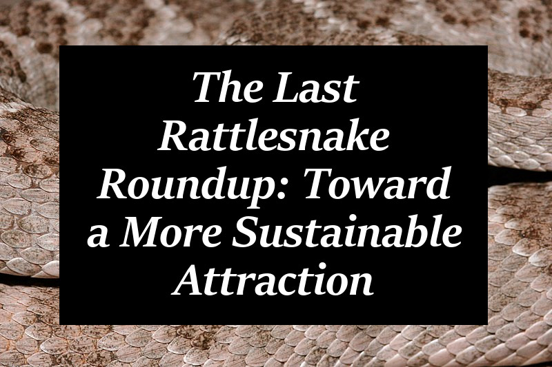 rebecca_lexa's tweet photo. #Rattlesnake roundups are increasingly being replaced by #educational #reptile events. Here's why that's a good thing: https://t.co/i5LlecTIT2
#herpetology #savethesnakes #animalcruelty #animalabuse #wildlife #snakes #rattlesnakes #ecology #stopsnakeslaughter https://t.co/TWDDCYbc9d