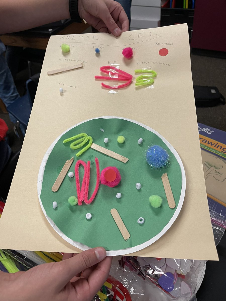 Students made there very own animal and plant cells! #gameon #sciencerocks <a href="/CryarCISD/">Cryar Intermediate, Conroe ISD</a>