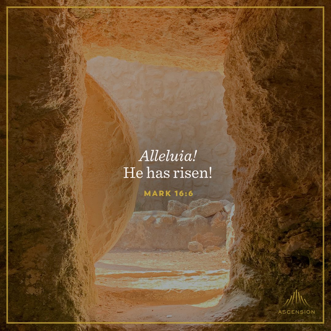 AscensionPress's tweet photo. Alleluia! #HappyEaster! https://t.co/I07bzNNZCh