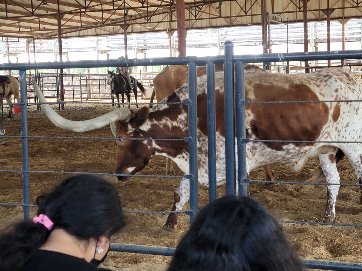 Learning is fun at the stockyards! #westfam #weststockyards2022