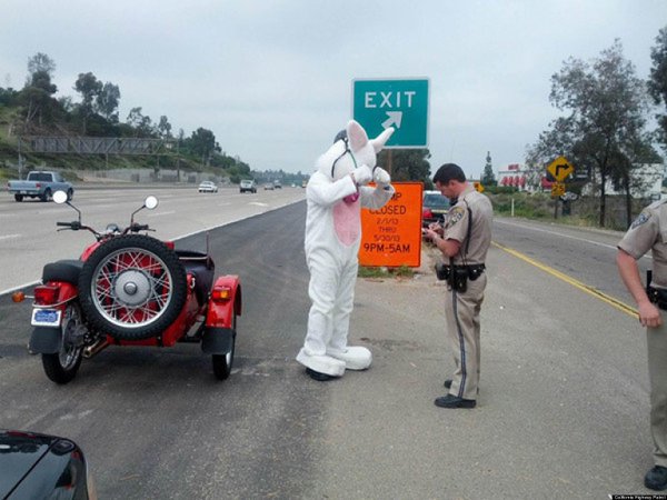 This Easter, don’t let too many hoppy beers land you in pellet court making for a bad hare day. If you carrot all, be a good egg and #DriveSober. 🐰🚔