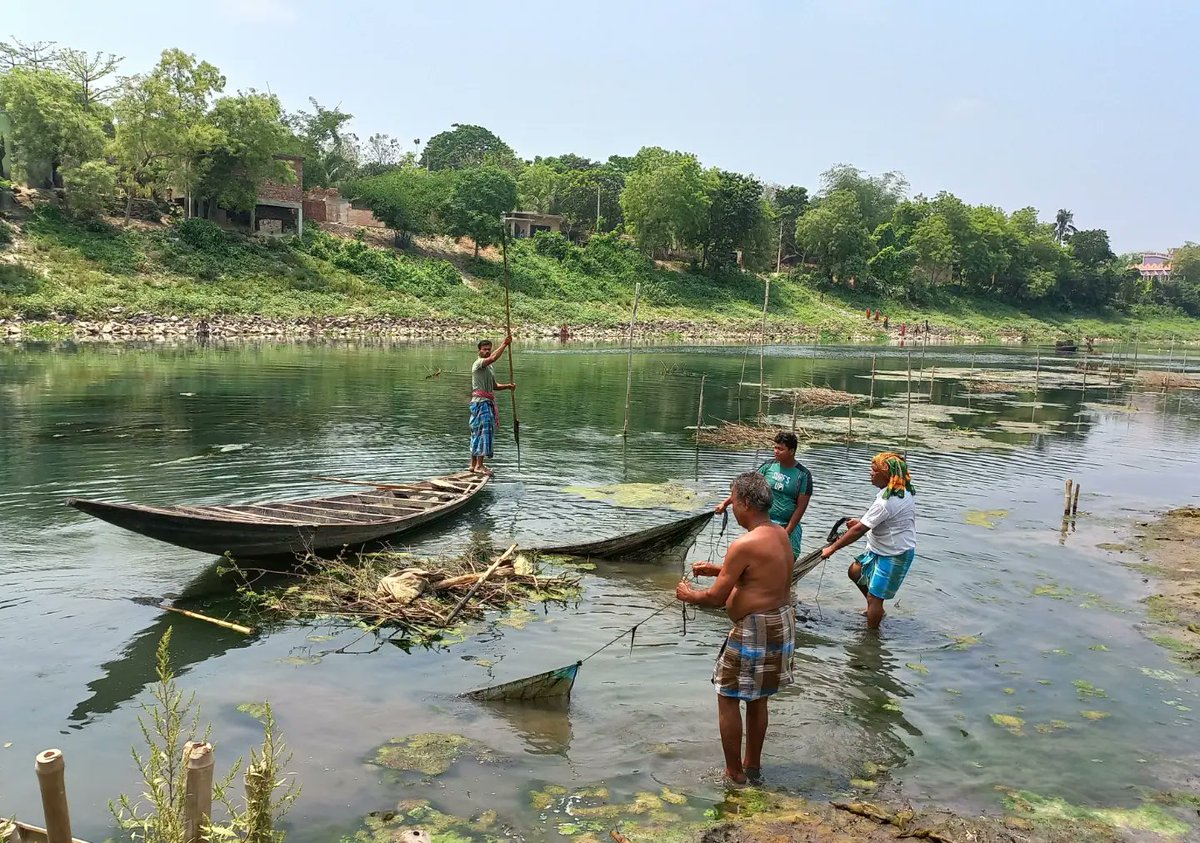 NehaBanerjeeIIT's tweet photo. The Nadia District administration is actively taking steps for scientific protection and unabated flow of the Jalangi River -the lifeline of the district's ecosystem, livelihood and culture. 
Glad to be a part of this work under the guidance of Hon'ble District Magistrate Sir 🙏 https://t.co/0R6YBj4vu8
