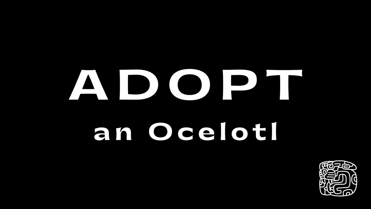NFT_Alpha's tweet photo. @ArtTribe_NFT  I'm part of the tribe because the community is lit... and ocelotls are cute  #ADOPTANOCELOTL https://t.co/DStAwkmQ7w