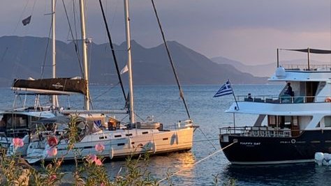 .ᐟ ★ tweet media