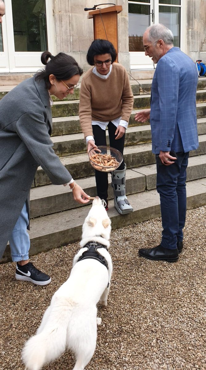 #Apéritifcanin 🐕🐕‍🦺🐩 🐾 @datirachida ravie de recevoir avec #Paname007 les habts #Paris7 et leurs chiens pour un moment convivial dans le jardin de la @mairie7 
Merci à notre partenaire #twotails #paris7